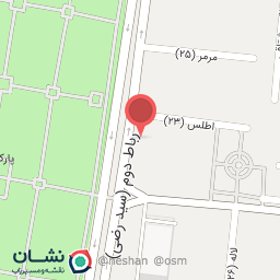 عکس برنج و خشکبار دانیال