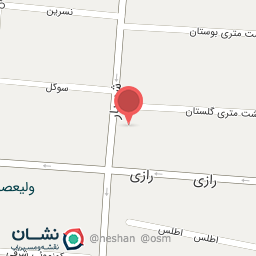 عکس پاساژ علوی نسب 