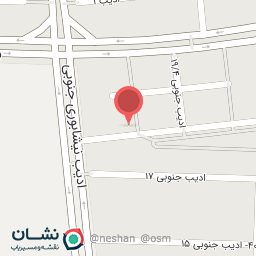 عکس پارسیان آسانسور