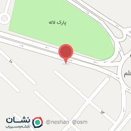 عکس پیتزا و فست فود گل‌یخ 