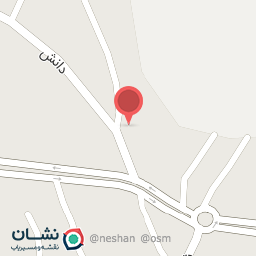 عکس پیتزا و ساندویچ سیاوش 