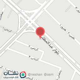 عکس خودپرداز سپه