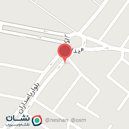 عکس مشاور املاک دنا