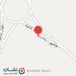 عکس لیانا مارکت