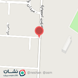 عکس سکه طلای پالیز