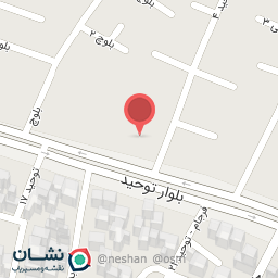 عکس غذای خاص چیکو 