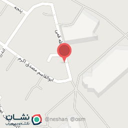 عکس فست فود