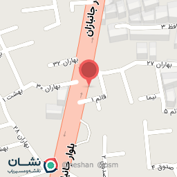 عکس پاچینی مزه