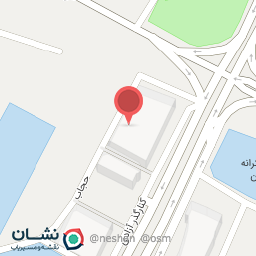 عکس نی نی مد نیکا