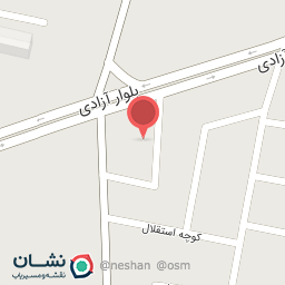 عکس صافکاری استاد انصار