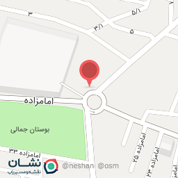 عکس کفش جزیره