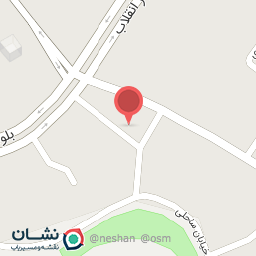 عکس کبابی لمزی