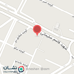 عکس تزئینات خودرو (نوروزی) 