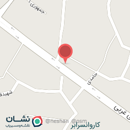 عکس برق اتومبیل رضا