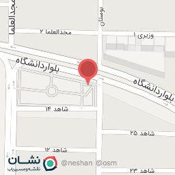 عکس پیتزا ساندویچ مستر زند