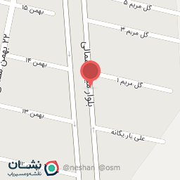 عکس اتو مکانیک چمران