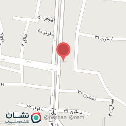 عکس لوازم قنادی شیرین عسل