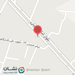 عکس خشکبار و آجیل تخمه داغ محمدی