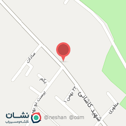 عکس پارمین یراق