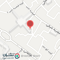 عکس عطاری صادقی فروش ادویه لاری و حنای لارین