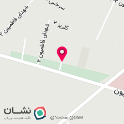 عکس شهدای فاطمیون ‌۸