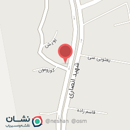 عکس باطری سازی رضا