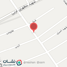 عکس تزئینات اتومبیل پآسارگاد