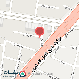 عکس گروه هنری پتینه ایرانیان