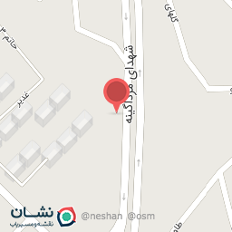 عکس الکتریکی پاشایی