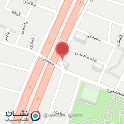 عکس بربری امام علی