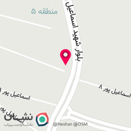 عکس کفش علمی