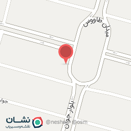 عکس تعویض روغن مردانه