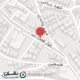 عکس اتومبیل علی ملکاری