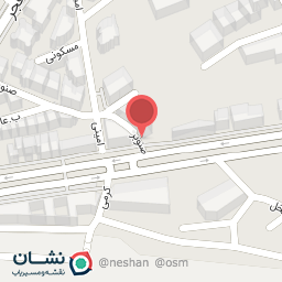 عکس پیتزای اترین