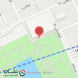 عکس کیف کارینا