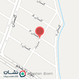 عکس پوشاک زیگوارت