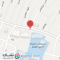 عکس مدرسه فامیل خوئیلر- علامه امینی