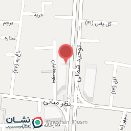 عکس نقره لطفی