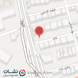 عکس مجموعه غذایی سینی