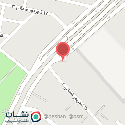 عکس کفش پریسا