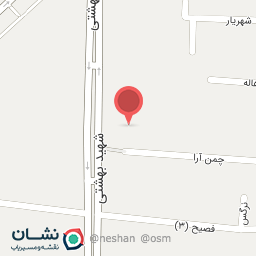 عکس صافکاری ظریف