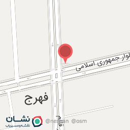 عکس مرغ و ماهی امیر