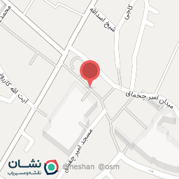 عکس پیتزا سیتو