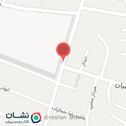 عکس ساندویچی فلاویچ