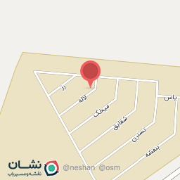 عکس دنده و خار زنی وحید