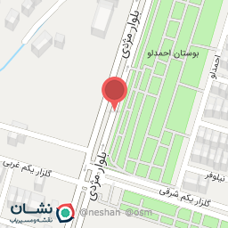 عکس شهید احمد لو