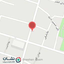 عکس طلا و جواهرات امین رشنو