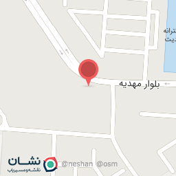 عکس کیف و کفش پاناز