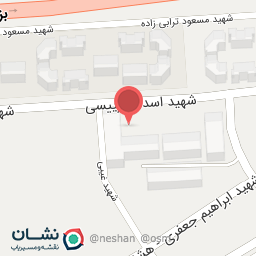 عکس مرغ گرم زرین بال