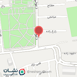 عکس فلافل هفت چنار